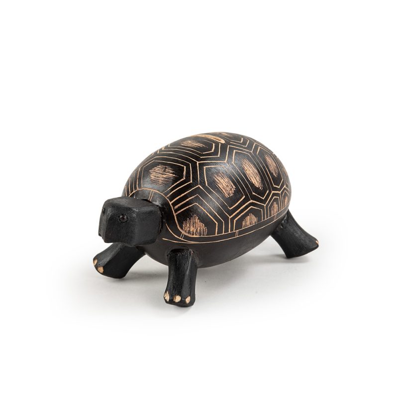 Tortuga en totumo