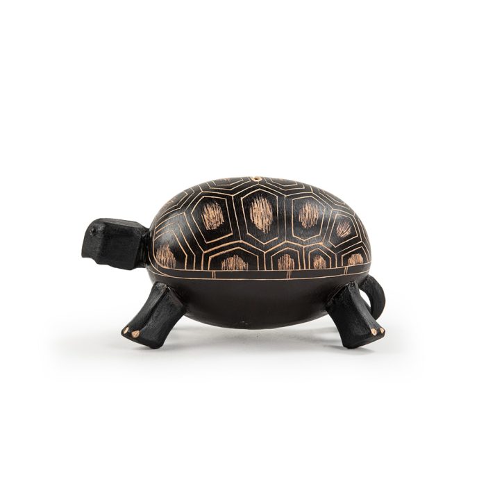 Tortuga en totumo