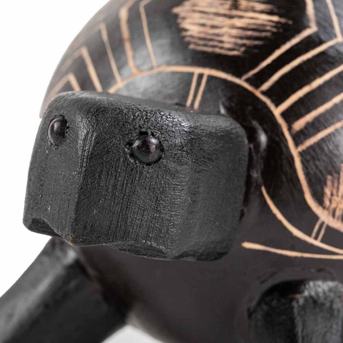 Tortuga en totumo