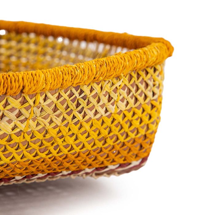 Frutero bejuco amarillo