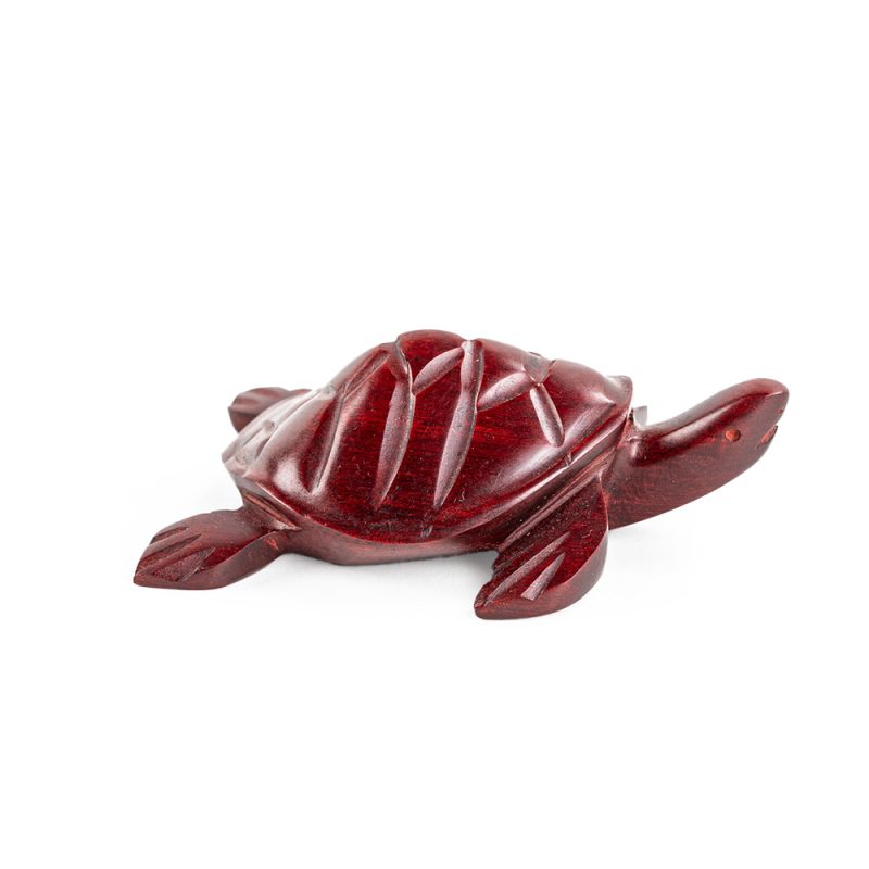 Tortuga palo sangre
