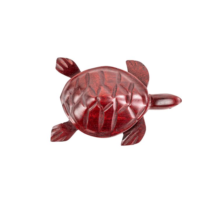 Tortuga palo sangre