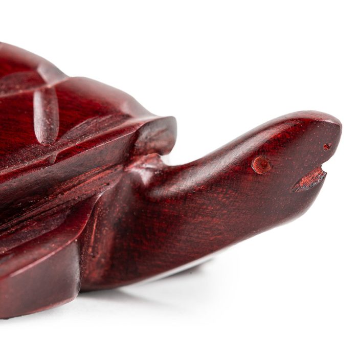 Tortuga palo sangre